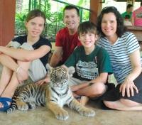 A Family with Baby Tiger